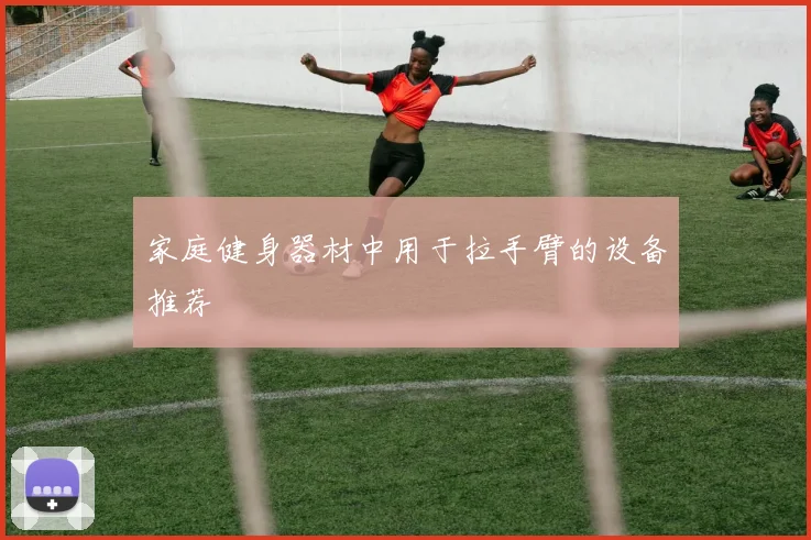 家庭健身器材中用于拉手臂的设备推荐