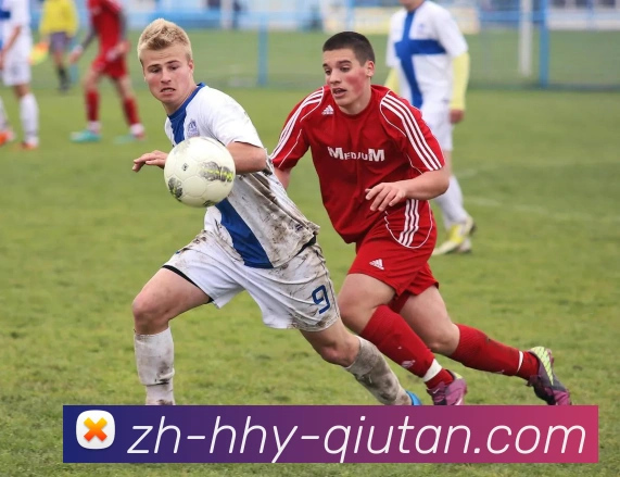 球探体育平台生态图